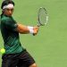 Christopher Rungkat Helps Indonesia to Avoid Davis Cup Degradation
