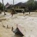 Banjir Cianjur Landa 2 Kecamatan, 100 Rumah Terendam